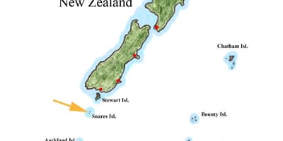 新西兰的地图和周围的岛屿