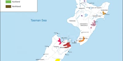 新西兰酒的地区的地图